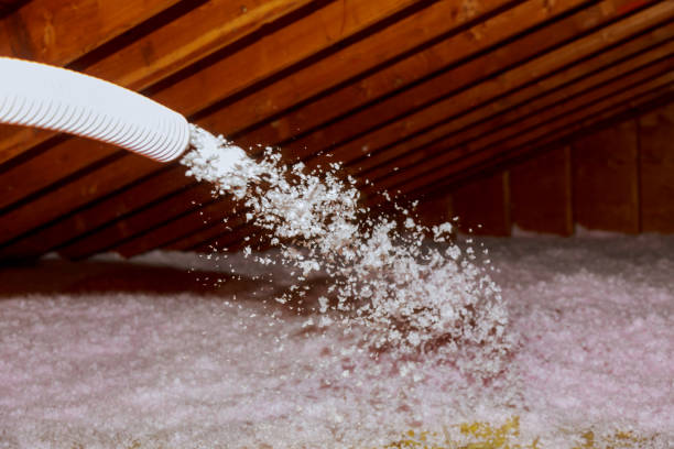 Types of Insulation We Offer in Esparto, CA