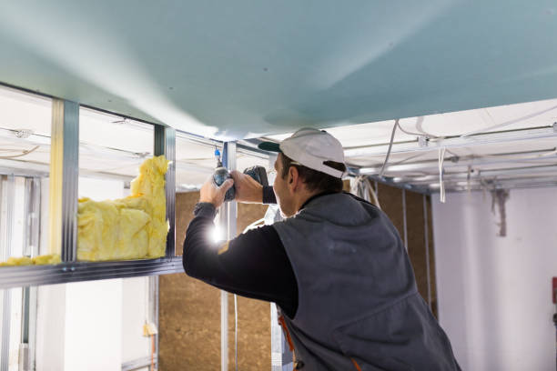 Best DIY Insulation Kits and Guidance in Esparto, CA